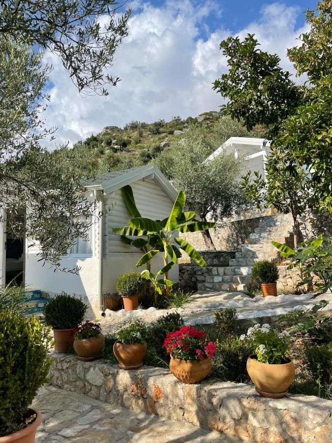 Alevra Otel Dhërmi Dış mekan fotoğraf