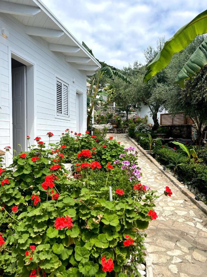 Alevra Otel Dhërmi Dış mekan fotoğraf