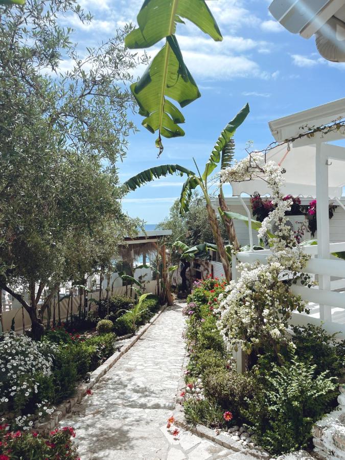 Alevra Otel Dhërmi Dış mekan fotoğraf