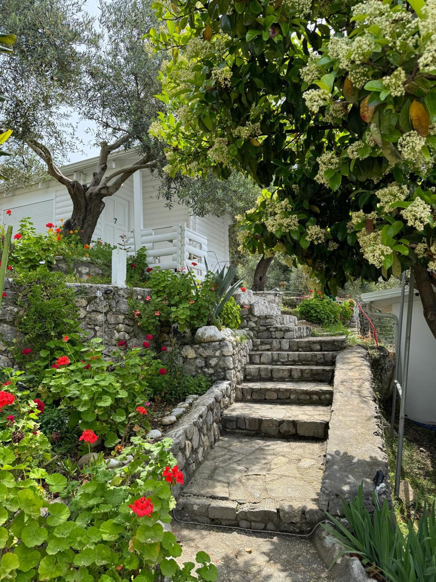 Alevra Otel Dhërmi Dış mekan fotoğraf