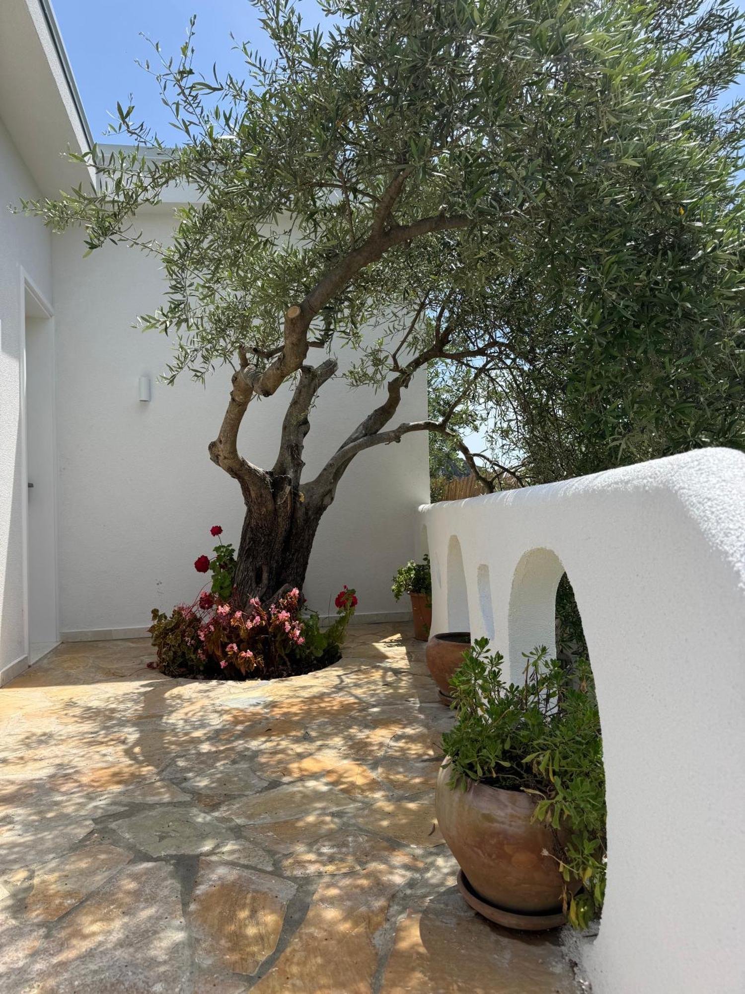 Alevra Otel Dhërmi Dış mekan fotoğraf